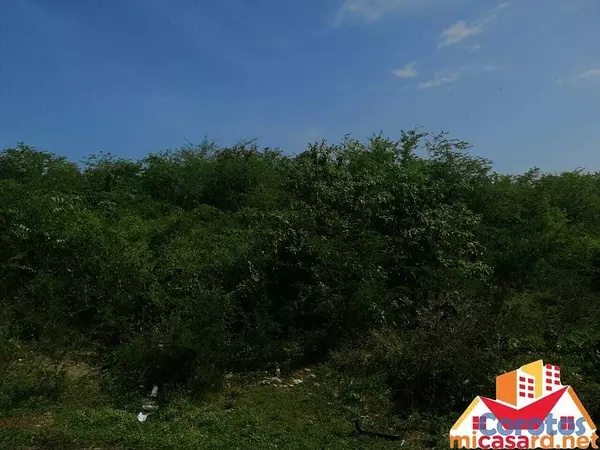 solares y terrenos - Terreno de 96,500 metros en Boca Chica 7