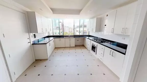apartamentos - SE VENDE LUJOSO Y AMPLIO APARTAMENTO EN PISO COMPLETO! 395M2 “ NACO” 6