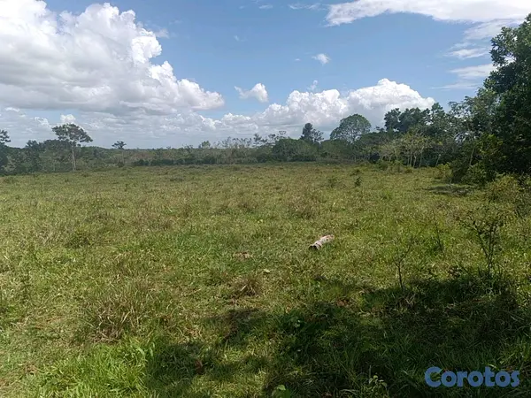 solares y terrenos - finca de 182 tareas en Monte Plata  7