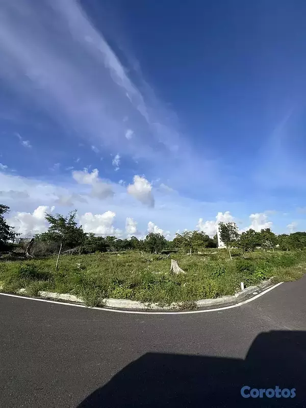solares y terrenos - Bayahibe - Terreno en venta de 6,000 m² 9