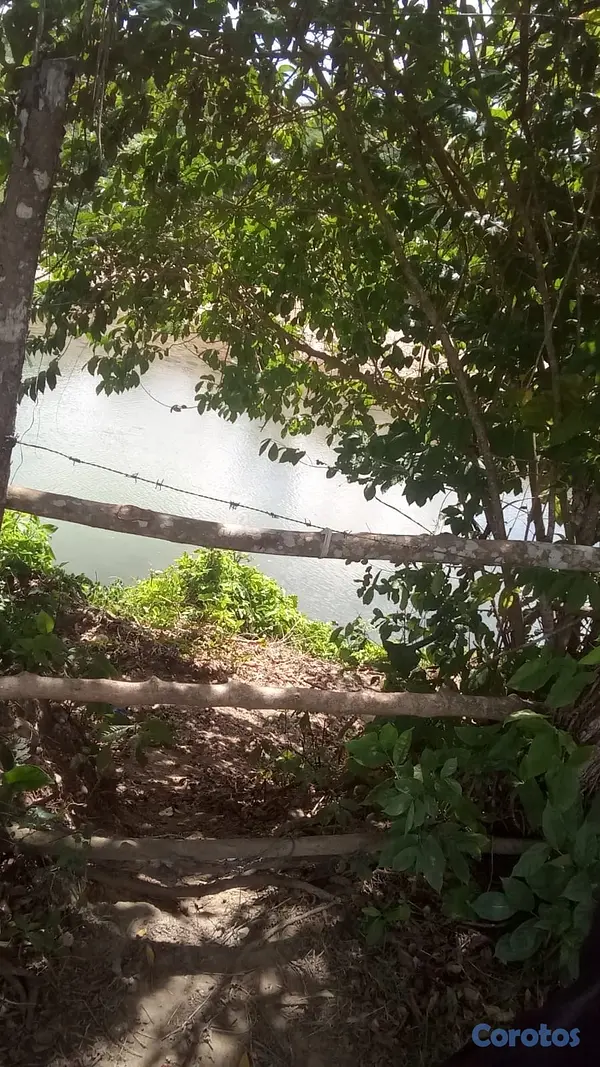 solares y terrenos - finca de 570 tareas en madre vieja sosua  6