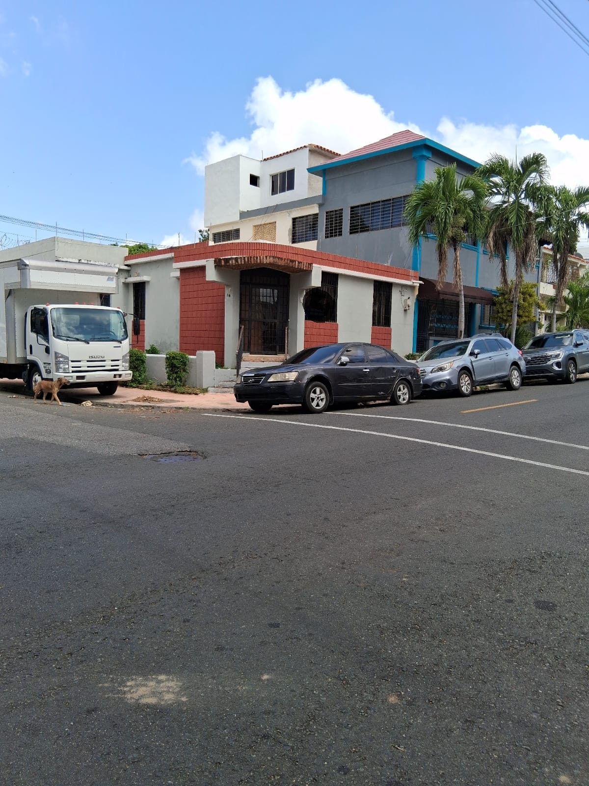 oficinas y locales comerciales - Casas o local en Gazcue Precio US$ 350,000 0