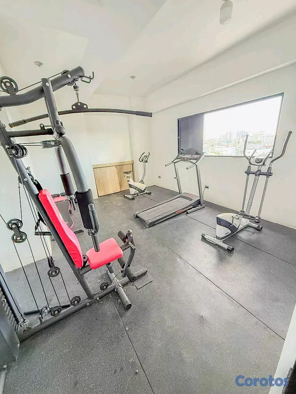 apartamentos - Venta de apartamento con terraza en El Millón 10