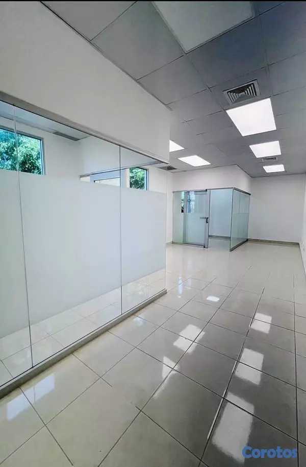 solares y terrenos - Locales corporativos en alquiler moderna torre en piantini 3