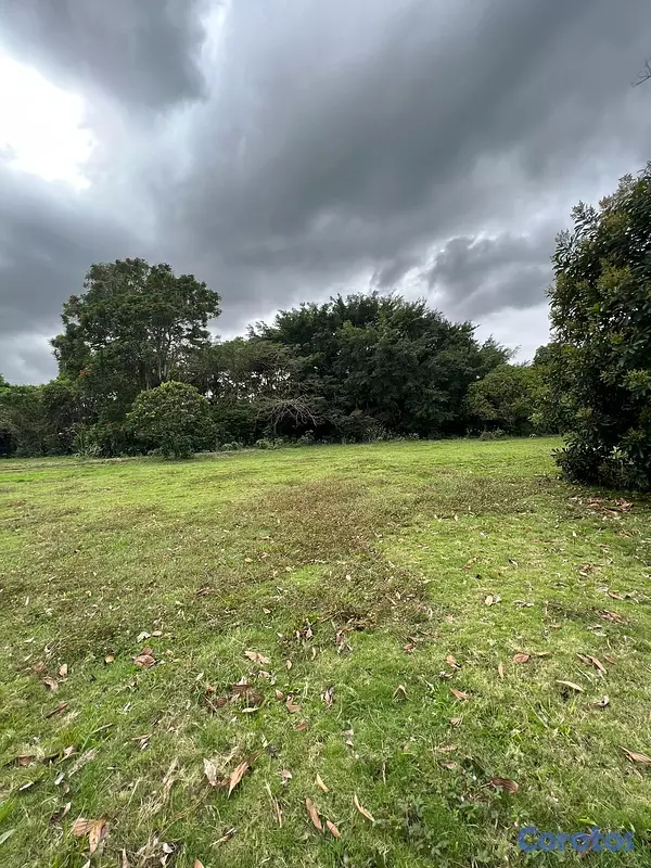solares y terrenos - FINCA PARA DESARROLLO Y GANADERIA DE ALTO VALOR PR 1