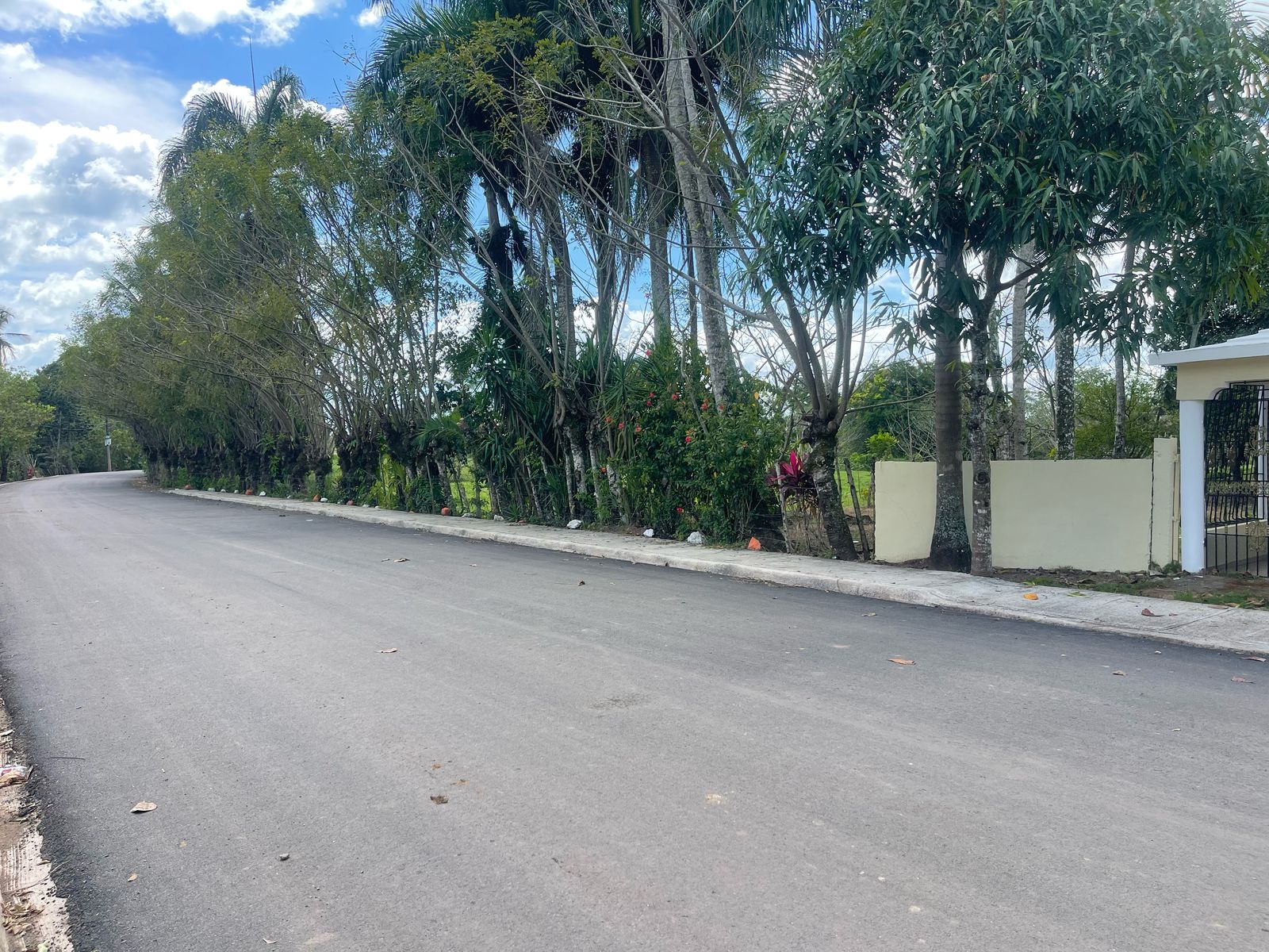 solares y terrenos - FINCA 1,000 TAREAS HACIENDA ESTRELLA, POR PARTES O COMPLETA, A LA ORILLA CARRETE 3