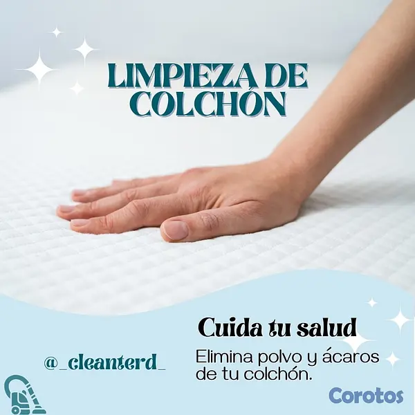 servicios profesionales - Servicio profesional de limpieza de mobiliarios. 7