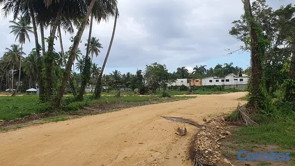 solares y terrenos - Solares en Nagua US115Mt 5