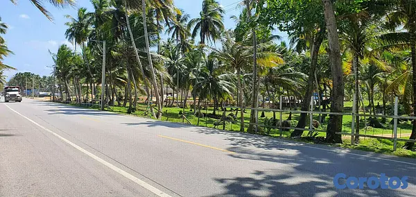 solares y terrenos - Solares en Nagua 6