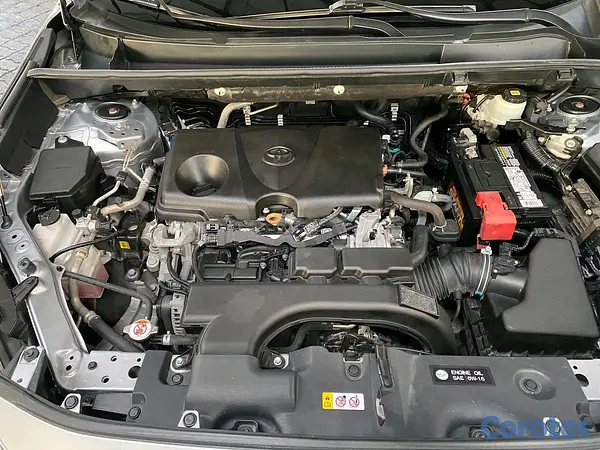 jeepetas y camionetas - Toyota RAV4 2021 7