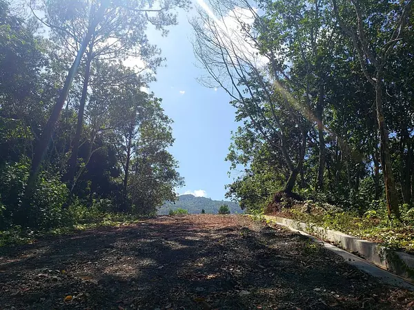 solares y terrenos - Solar en Venta en Jarabacoa – 1,849 m² con Casa Club y Seguridad 24/7 6