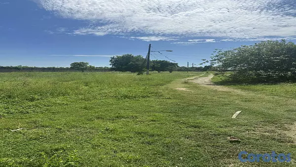 solares y terrenos - VENTA TERRENO DE 16,015M2 EN BOCA CHICA REPÚBLICA DOMINICANA 3