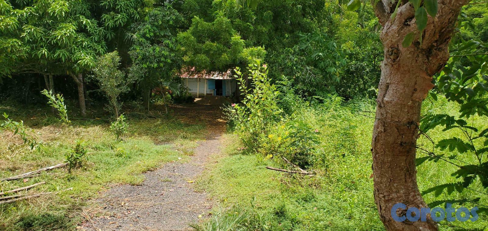 solares y terrenos - Solar en venta con titulo deslindado e impuestos al dia listo en Juan Dolio 3