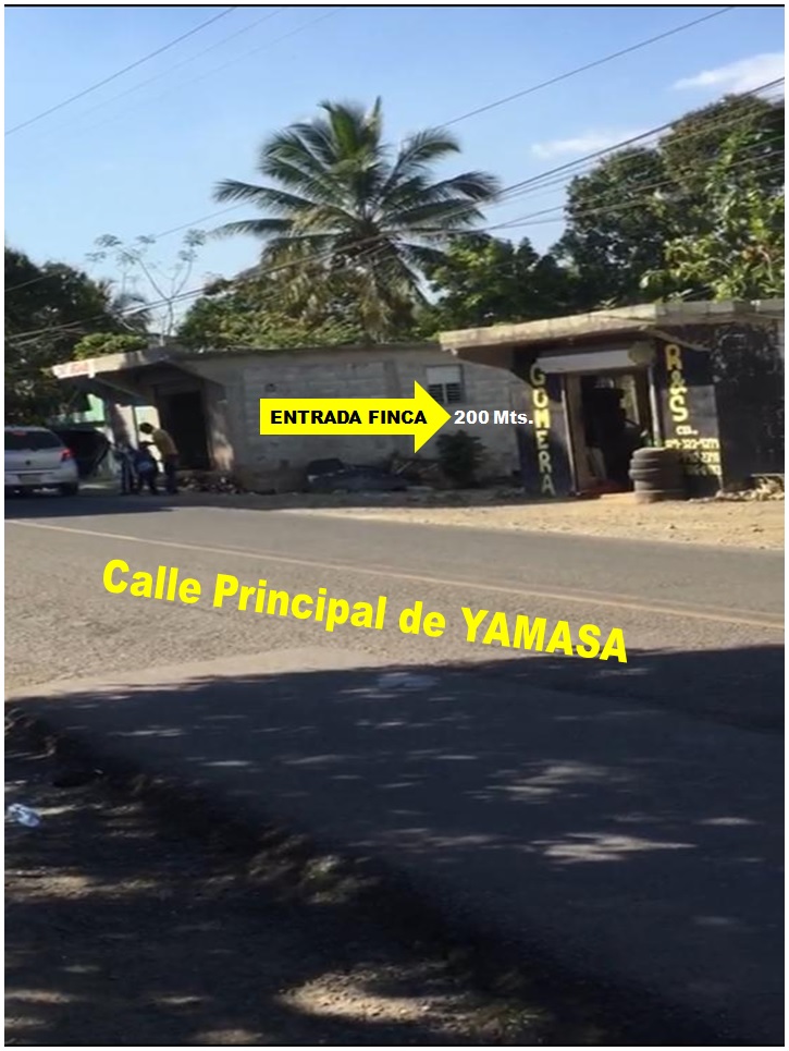 solares y terrenos - SUPER OFERTA DE FINCA EN YAMASA, 253 TAREAS, REBAJ 1
