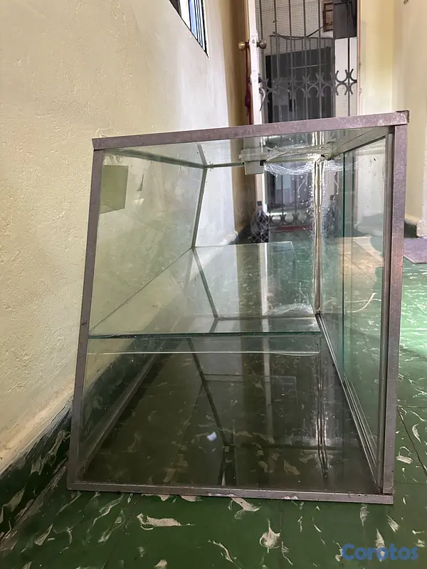 equipos profesionales - Vendo vitrina para exhibir comestibles  3