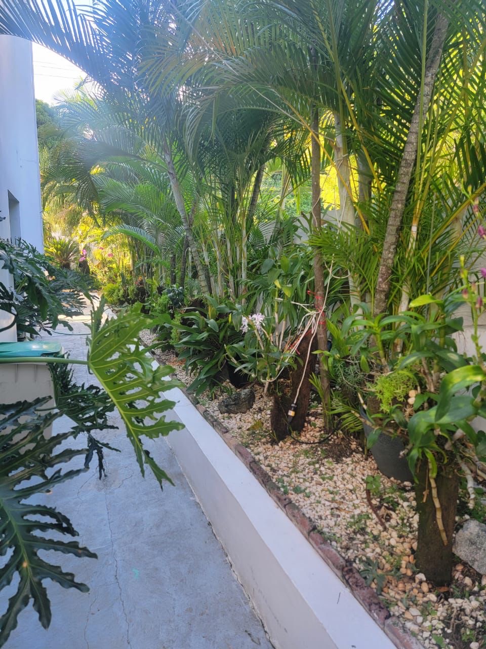 apartamentos - casa en alquiler - Los restauradores  1