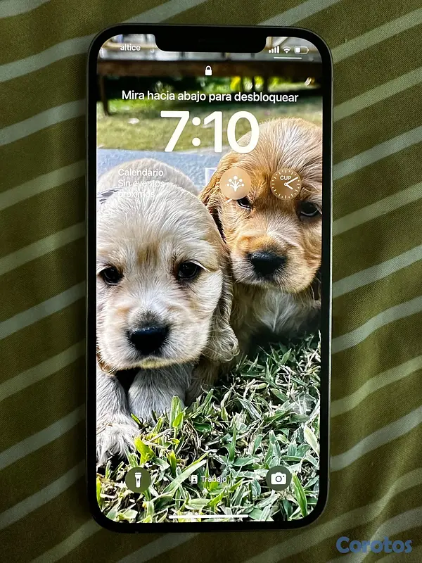 celulares y tabletas - iPhone 12 Pro Max 128GB 4