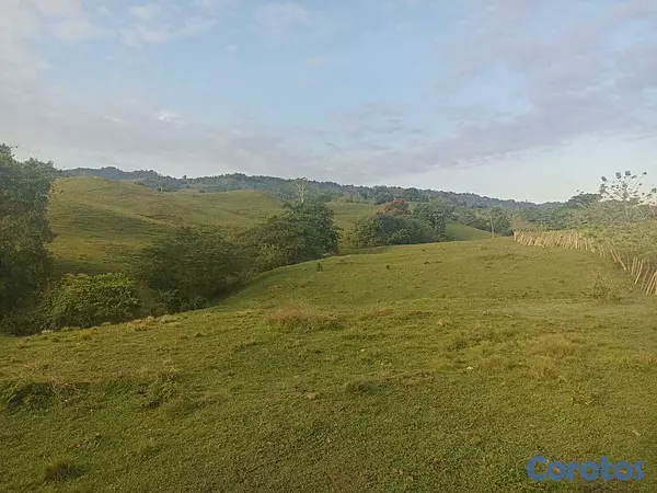 solares y terrenos - 🐄 Finca Ganadera en Venta – A Solo 45 Minutos de  2