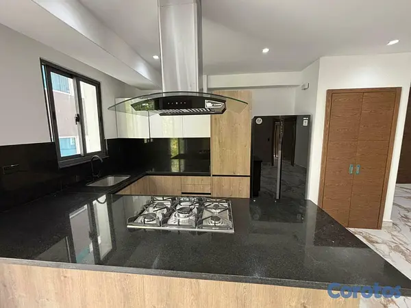 apartamentos - Apartamento en Alquiler con Linea Blanca en Piantini 5
