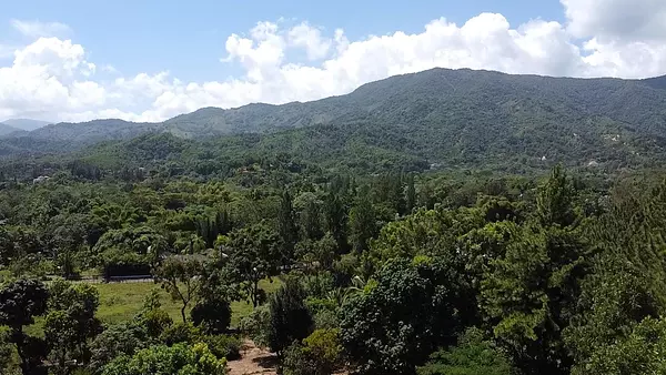 solares y terrenos - Terreno en Venta en Rancho Los Mogotes,Villa Altagracia 4
