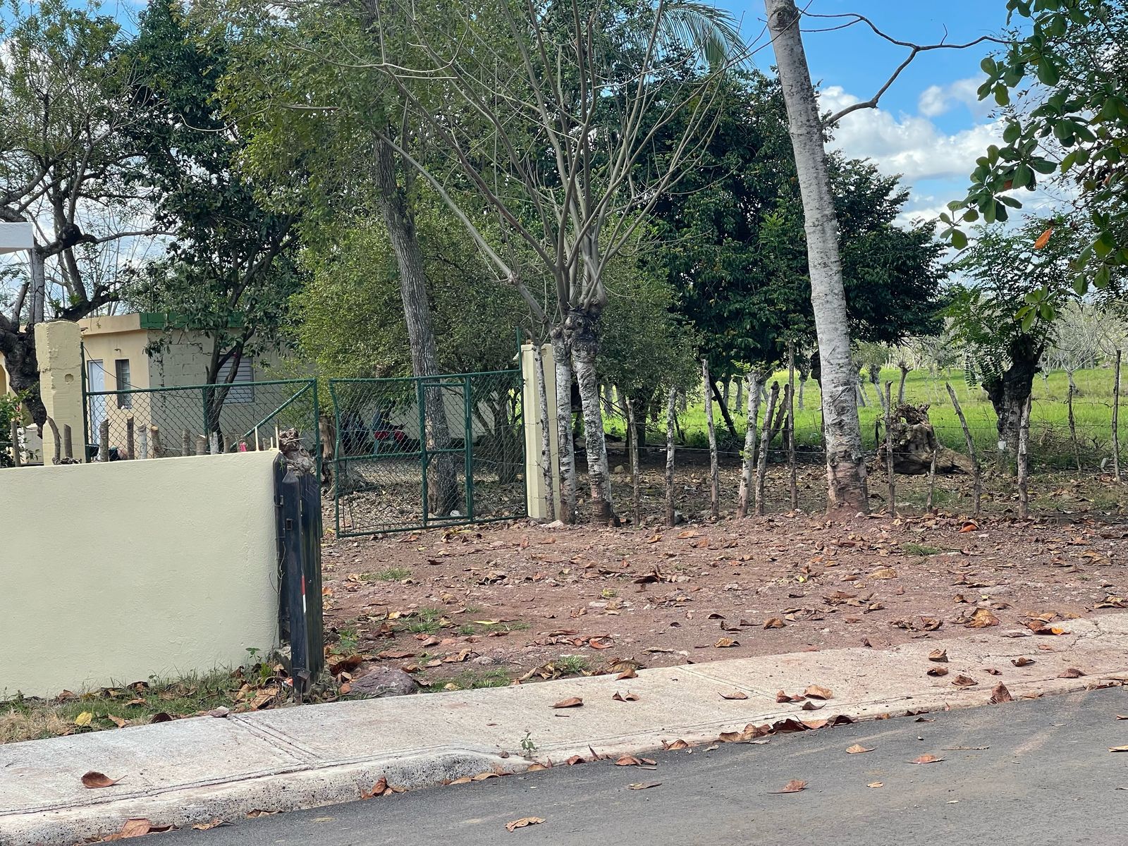 solares y terrenos - FINCA 1,000 TAREAS HACIENDA ESTRELLA, POR PARTES O COMPLETA, A LA ORILLA CARRETE 6