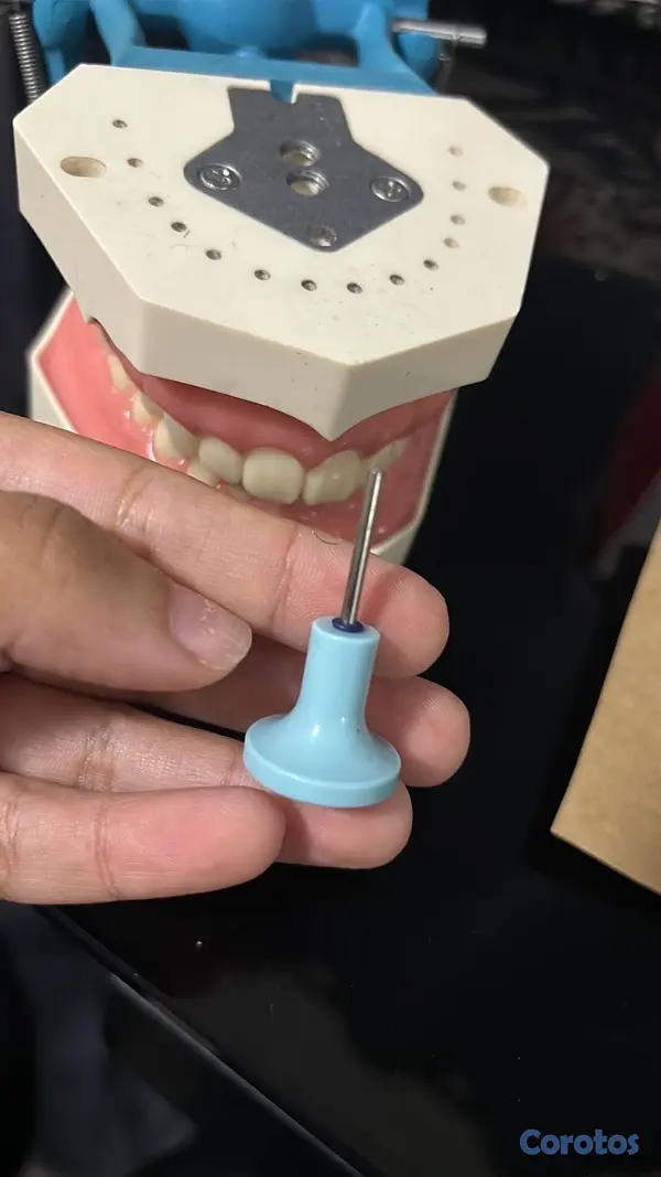 Salud y Equipamiento Médico - Dentoformo P-Oclusa 2