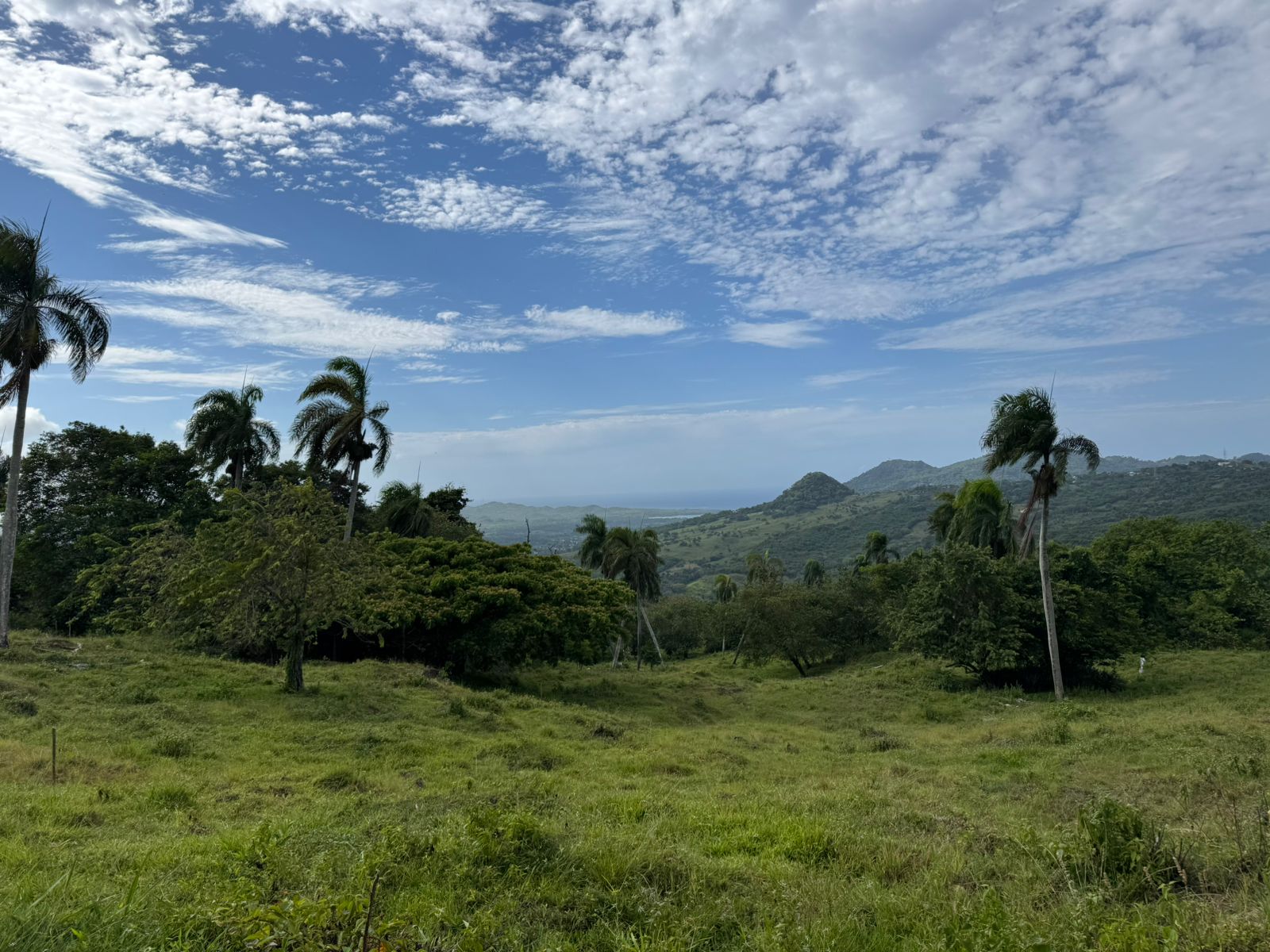 solares y terrenos - 🌿 Tropical Breeze Cupey – Proyecto Ecológico  3