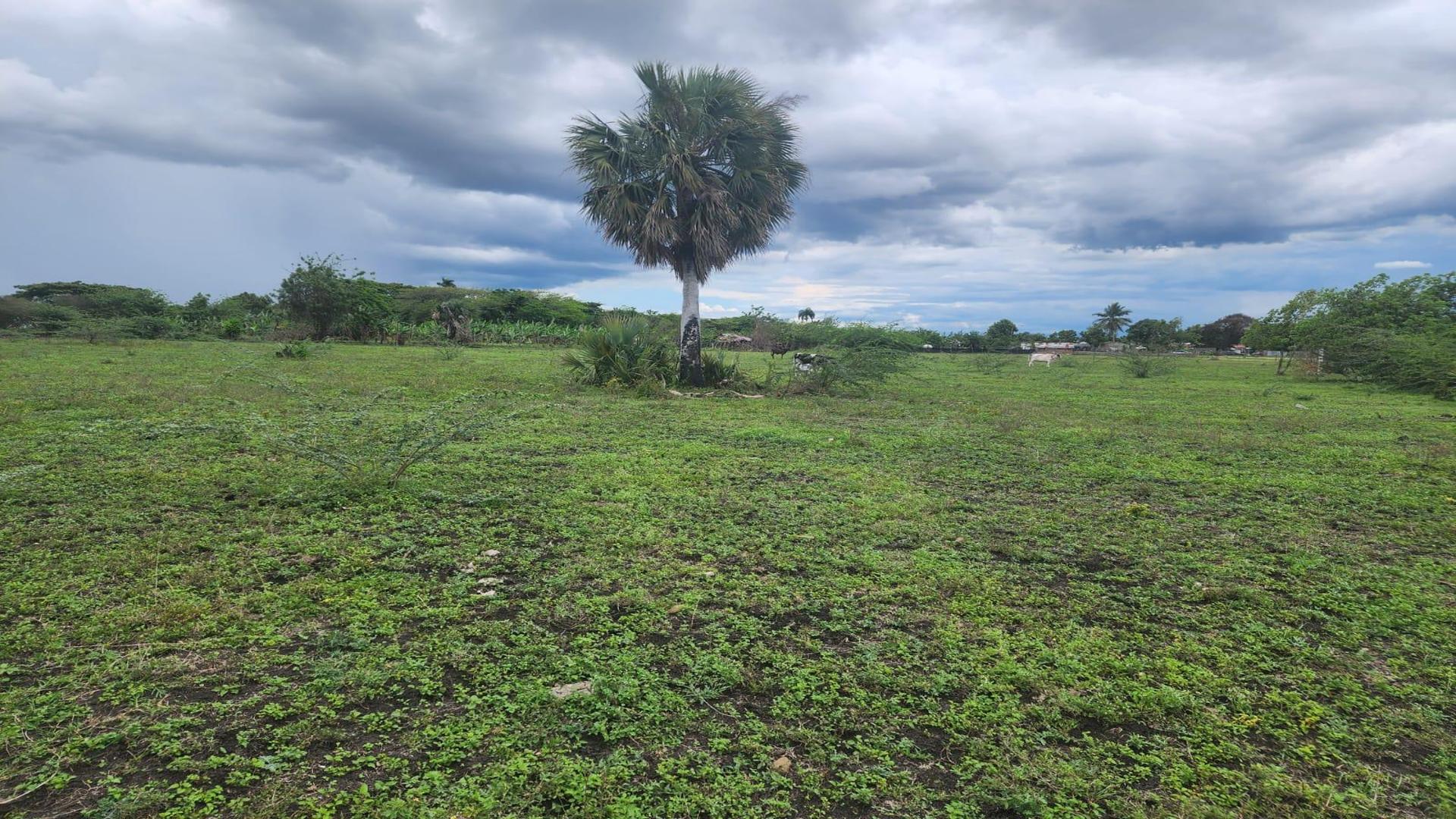 solares y terrenos - Solar en venta Gurabo Abajo, la Cruz gorda 2
