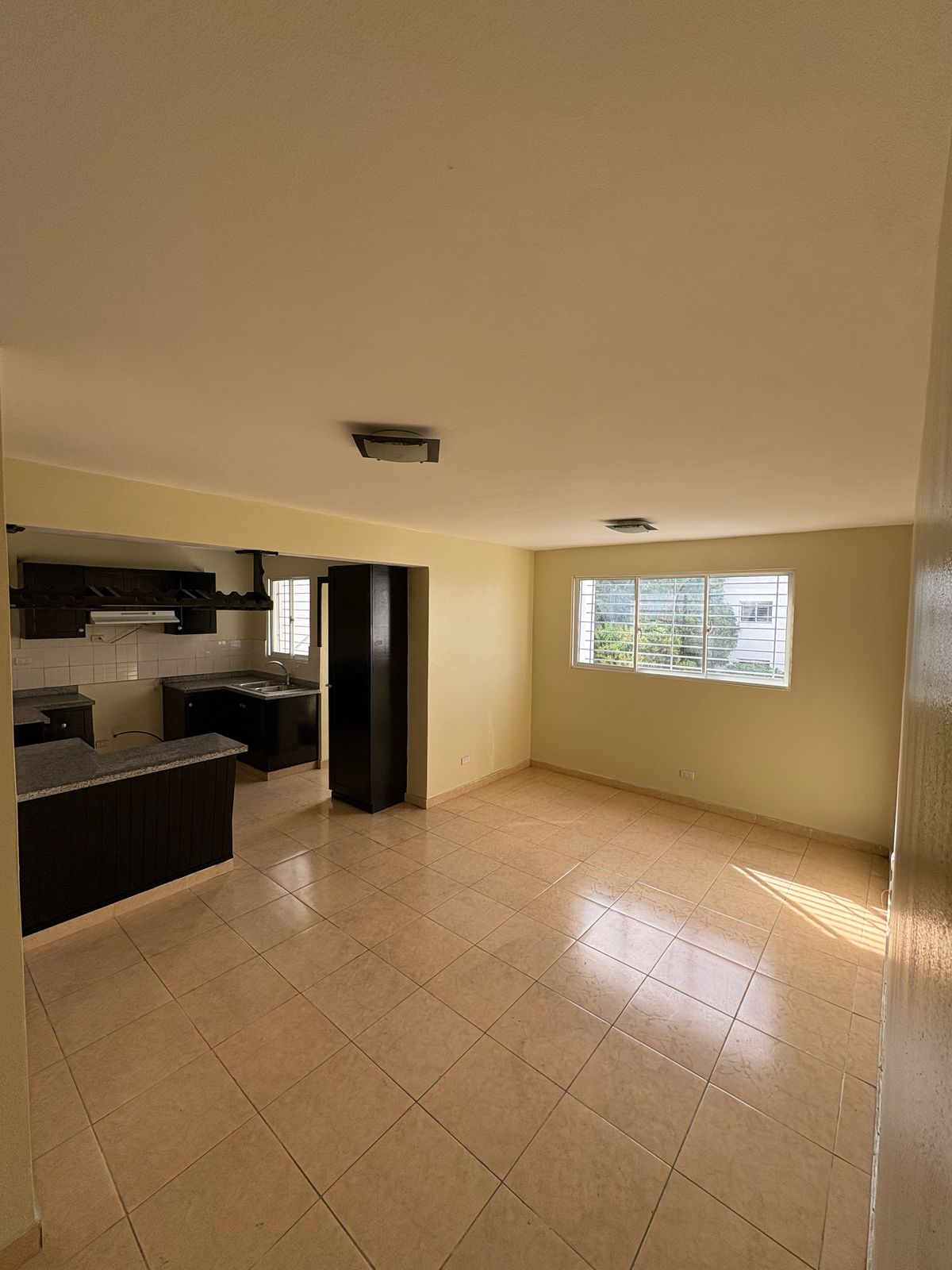 apartamentos - APARTAMENTO EN VENTA YAPURT DUMIT, SANTIAGO. 7