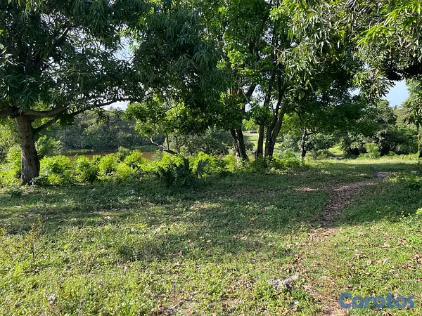casas - Oportunidad! 38,000 m² en Nigua - Ideal para Naves o Parqueo 11