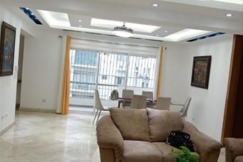 apartamentos - alquilo apartamento en naco 8