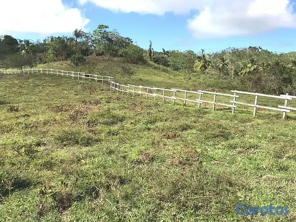 solares y terrenos - Terreno en Venta – Las Terrenas / Las Guázaras 3