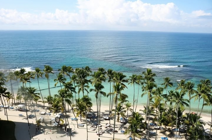 apartamentos - DIOS⏰ Punta Cana ✈️⛱️ Primera LíneaDe Playa 📍 8