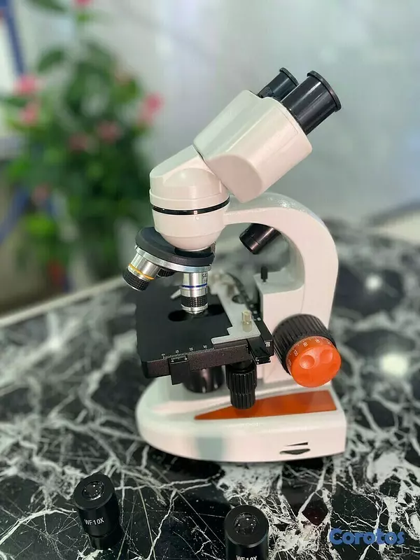 equipos profesionales - Microscopio electrico binocular biologico profesional para examen clínico 10