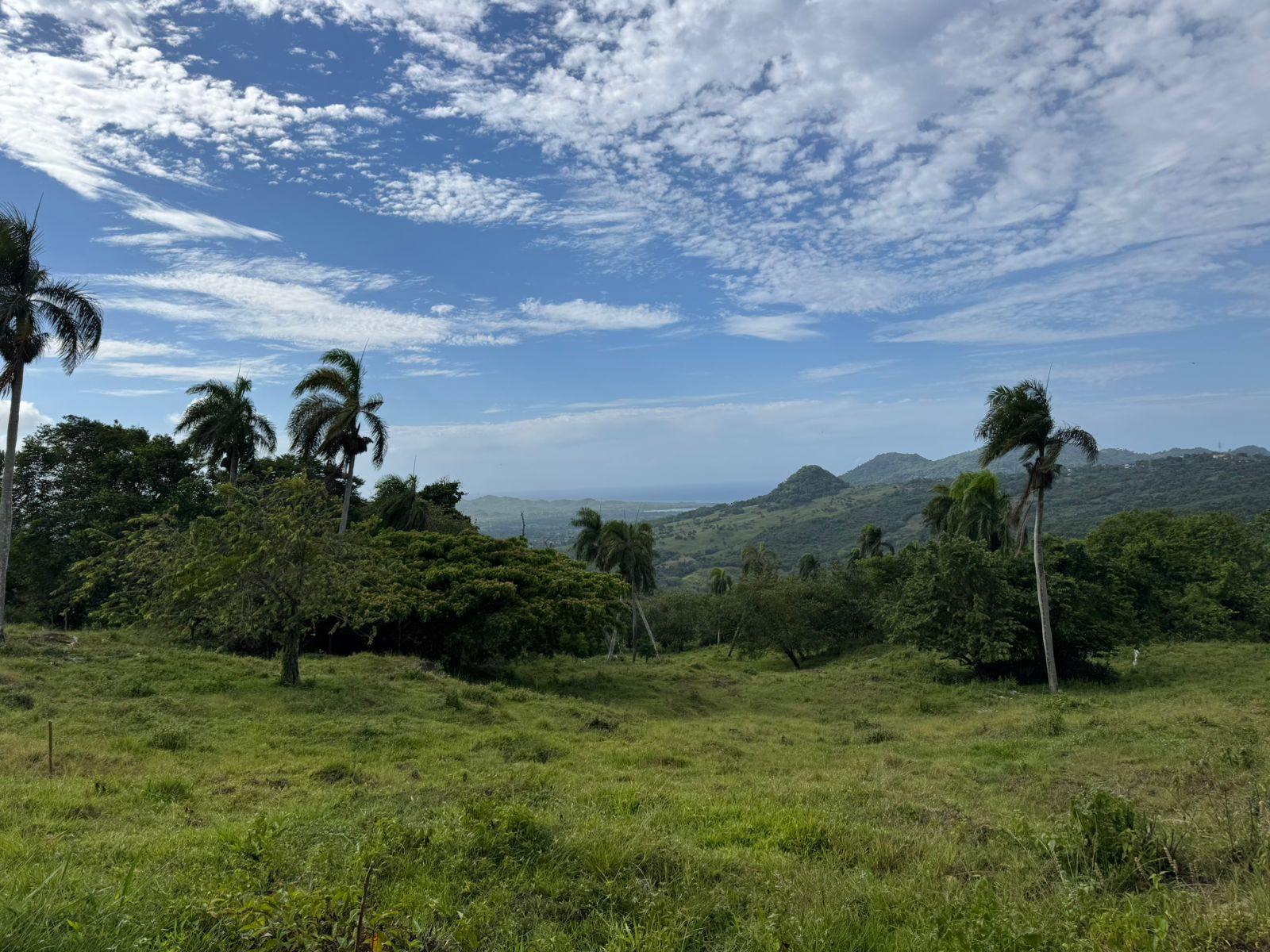 solares y terrenos - 🌿 Tropical Breeze Cupey – Proyecto Ecológico  8