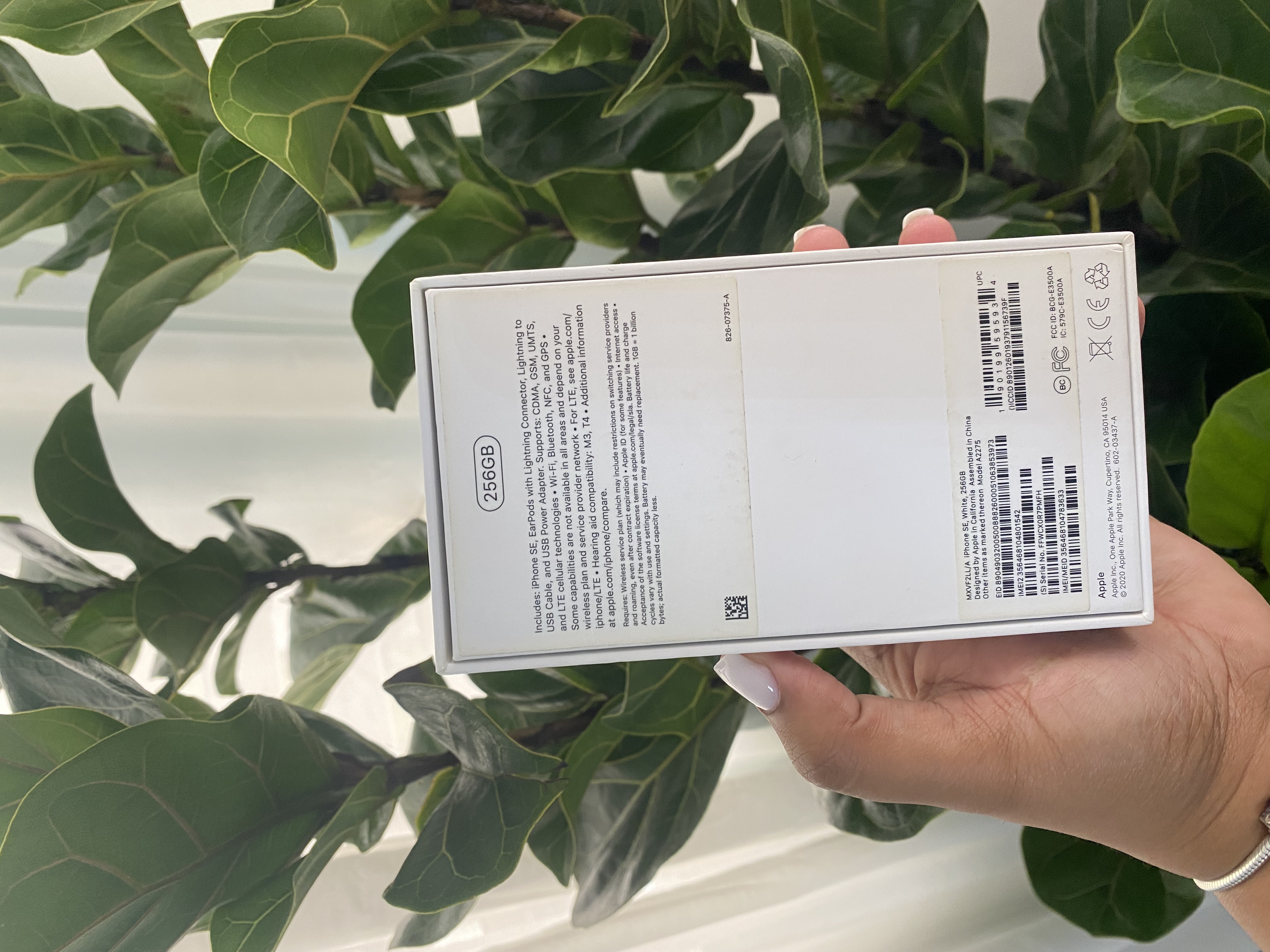 celulares y tabletas - iPhone 12 | 256GB  5