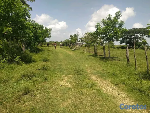 solares y terrenos - finca por secciones en Monte Plata  5