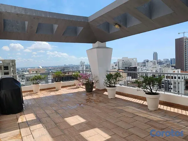 penthouses - Penthouse en Venta Piantini 6