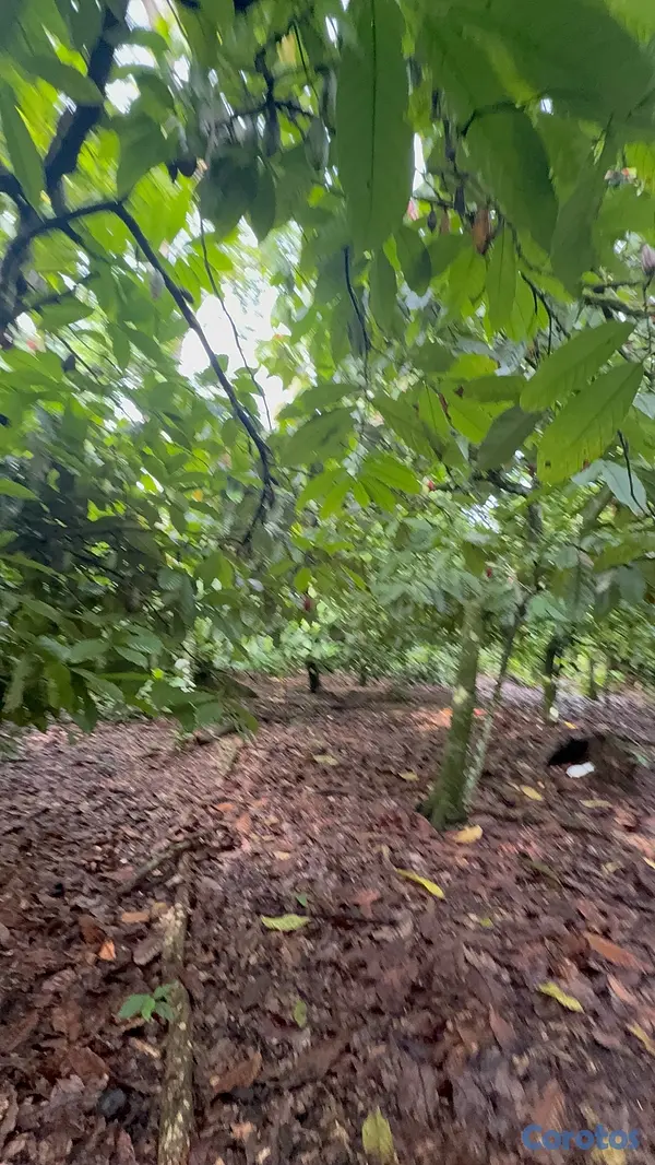 solares y terrenos - TERRENO EN VENTA SAN FRANCISCO DE MACORÍS EL CERCADO DE OPORTUNIDAD  3
