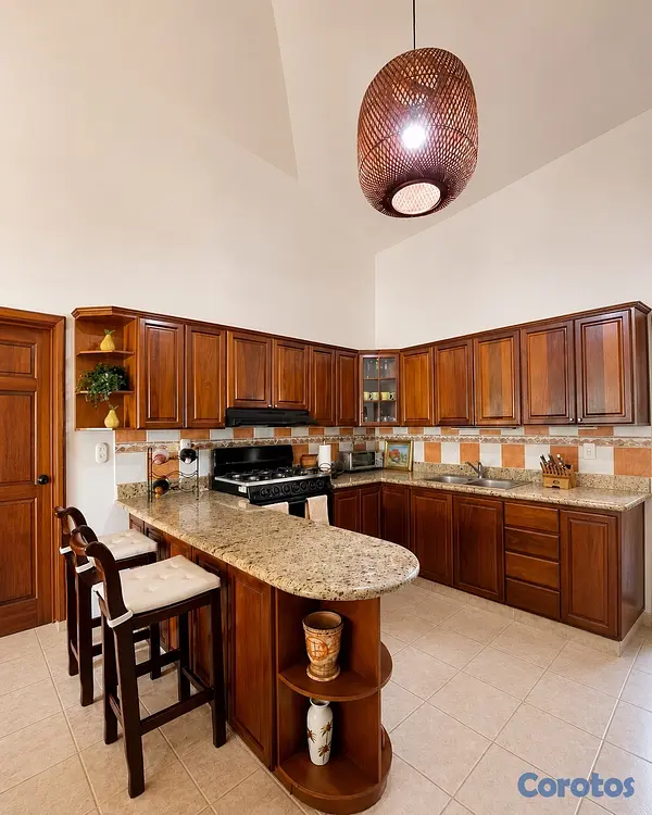 apartamentos - 🌴 Cocotal - Alquiler  4