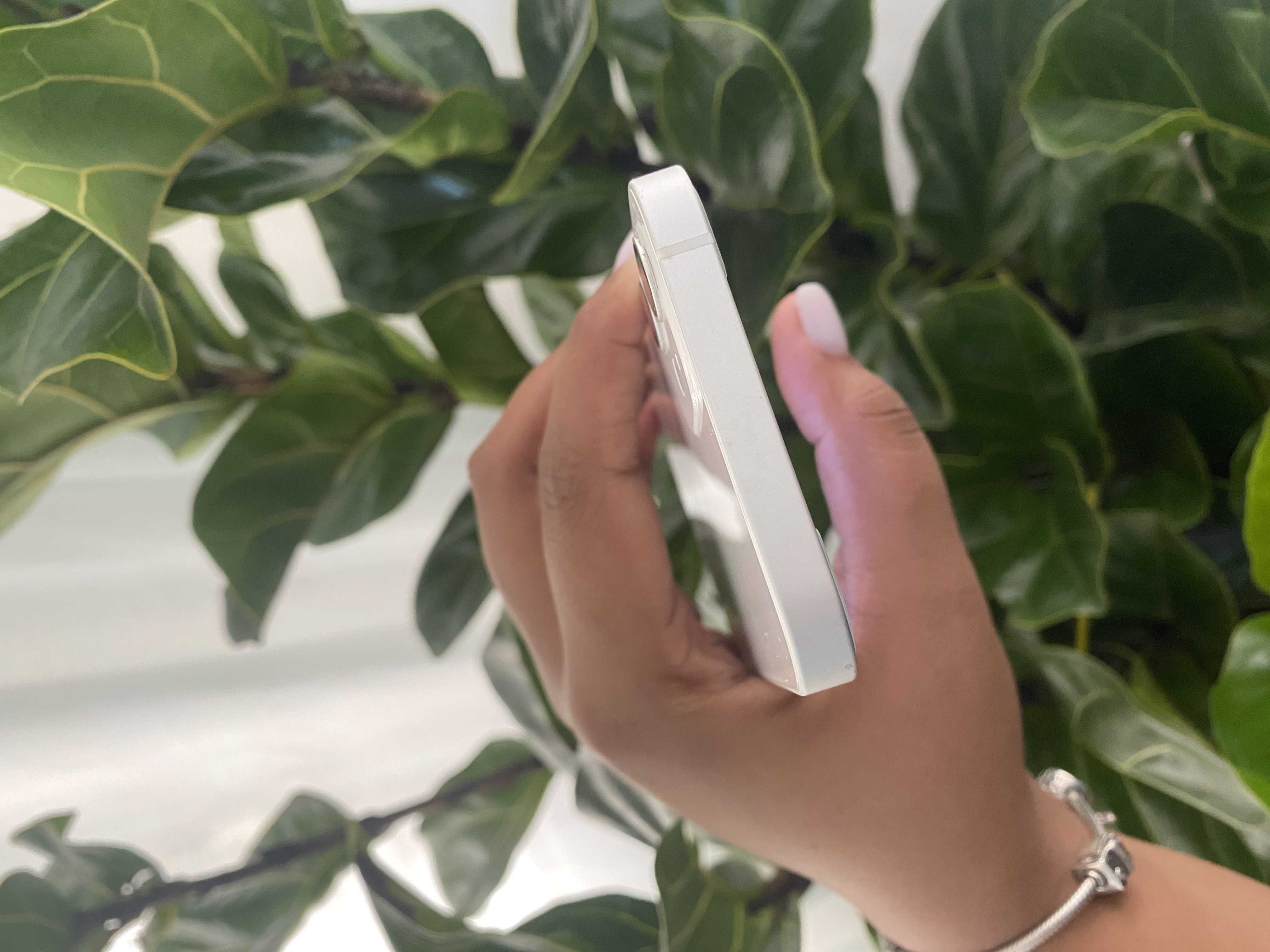 celulares y tabletas - iPhone 12 | 256GB  2