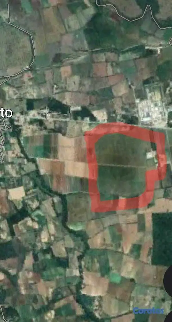 solares y terrenos - Finca Agrícola de Venta en San Juan de la Maguana 4