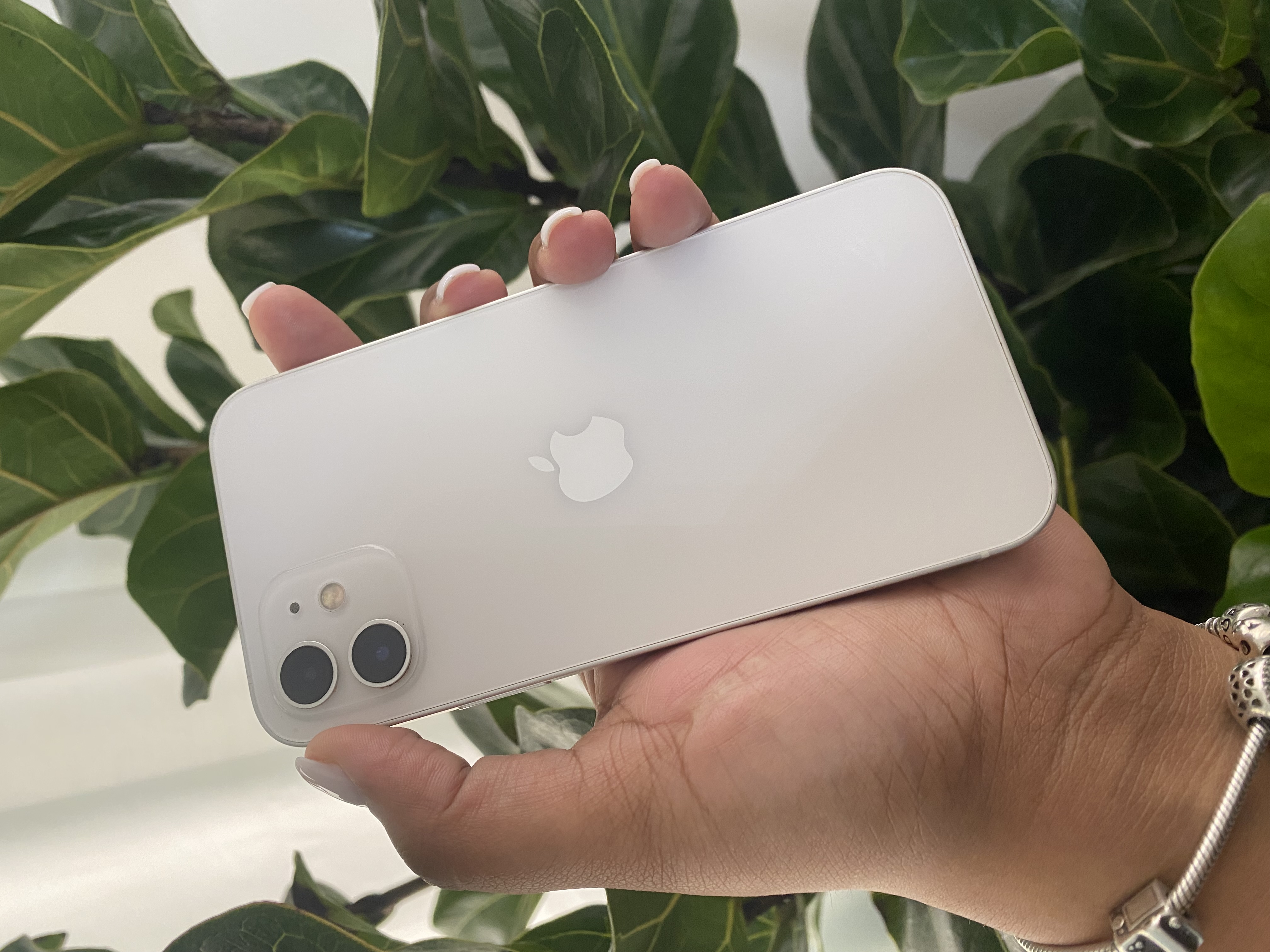 celulares y tabletas - iPhone 12 | 256GB  3