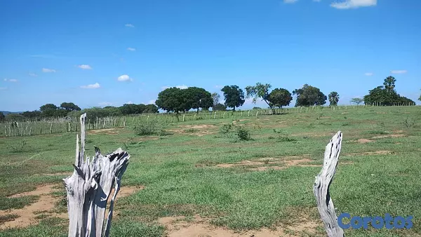 solares y terrenos - Finca Con Titulo 226 Tareas de Tierra.  6