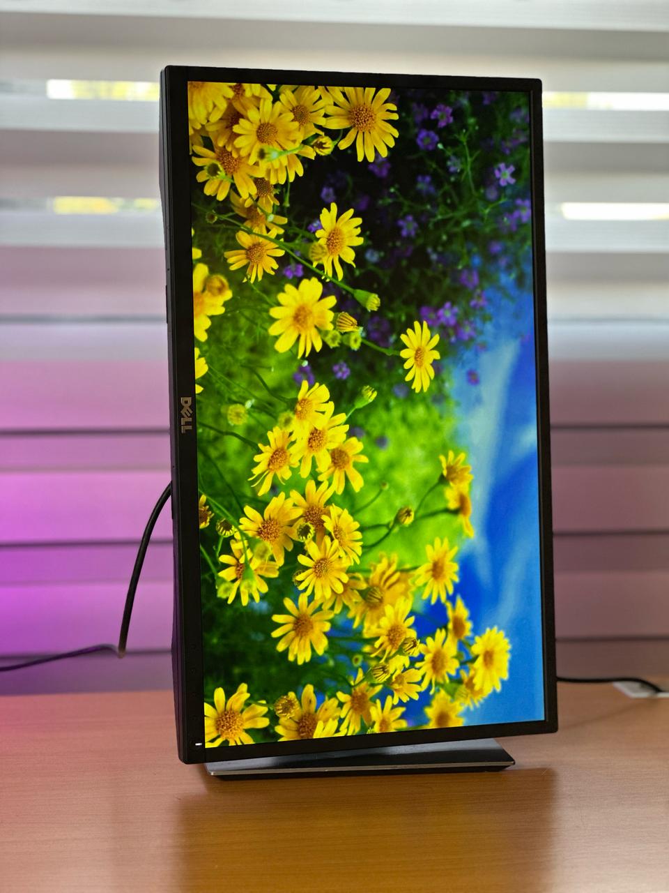 computadoras y laptops - Monitor Dell 23 PLG HDMI P2317H , IPS , DP VGA  2