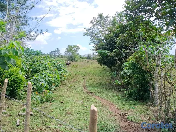 solares y terrenos - finca de 294 tareas de vocación agrícola en Monte Plata  7