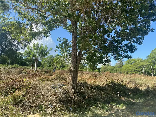solares y terrenos - terreno de 20 mil mts en sosua  8