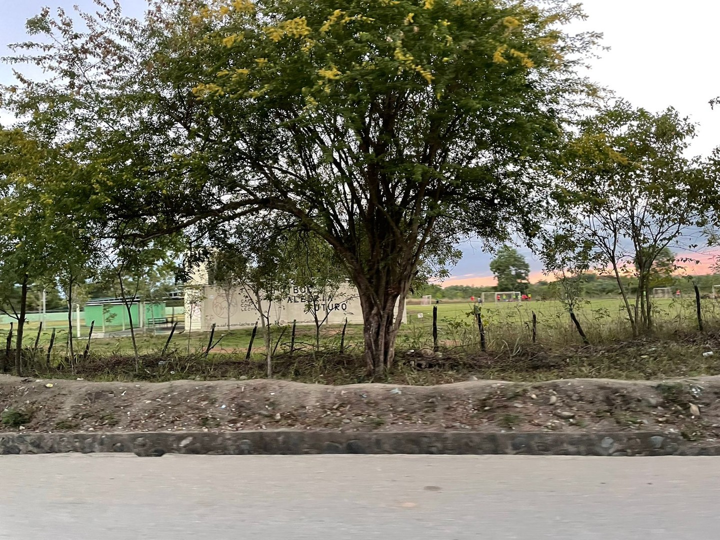 solares y terrenos - Solar en venta en Hato Nuevo 1