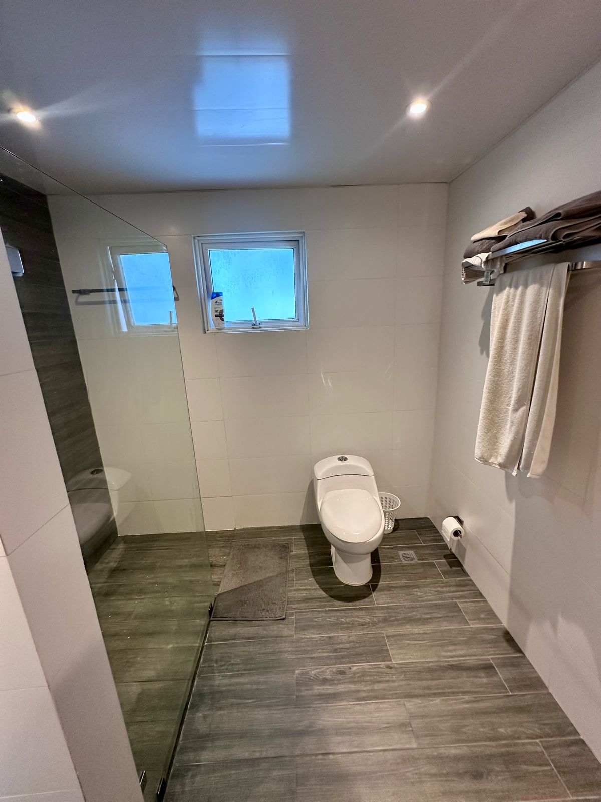 apartamentos - Alquilo apartamento amuelado en Piantini  4