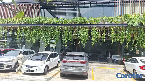 oficinas y locales comerciales - Local en Arroyo Hondo Viejo primer nivel 6